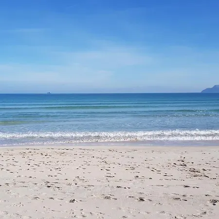 Ideal Mallorca - Ribas *